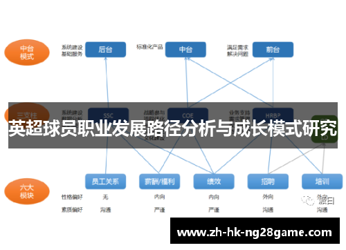 英超球员职业发展路径分析与成长模式研究