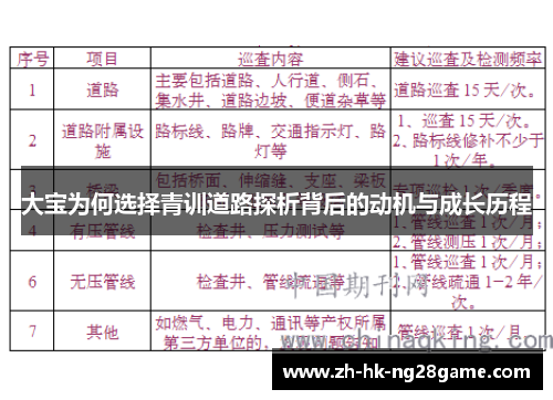 大宝为何选择青训道路探析背后的动机与成长历程