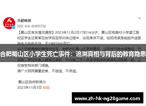 合肥蜀山区小学生死亡事件：追溯真相与背后的教育隐患