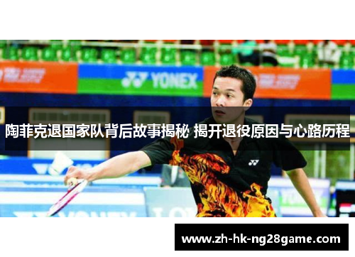 陶菲克退国家队背后故事揭秘 揭开退役原因与心路历程