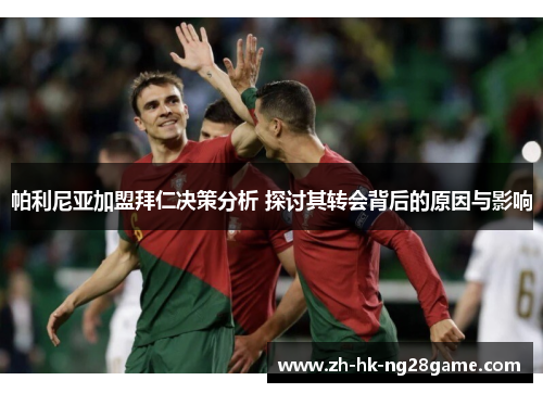 帕利尼亚加盟拜仁决策分析 探讨其转会背后的原因与影响